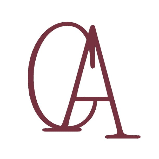 casani favicon logo trans