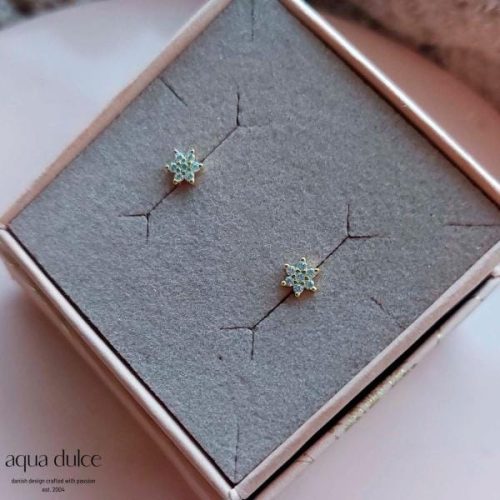 AQUA DULCE Samara korvakorut, kulta